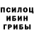 Галлюциногенные грибы Psilocybine cubensis Mugivara