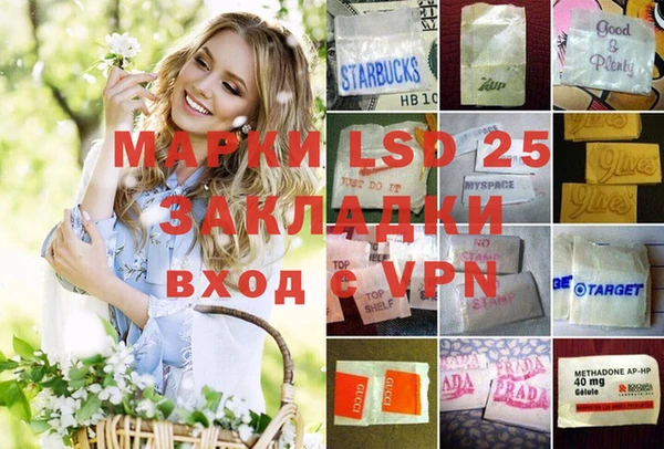 спайс Баксан