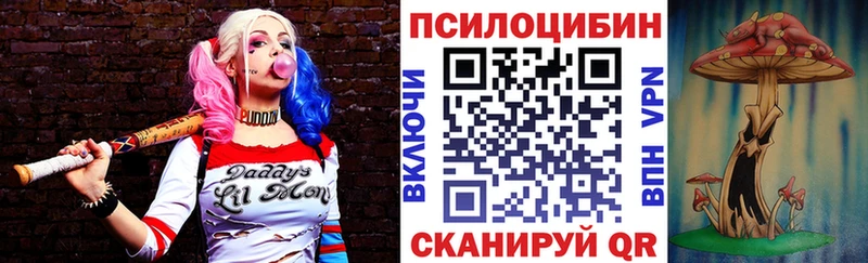 Купить  Оренбург  Галлюциногенные грибы Magic Shrooms 